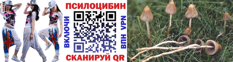 Псилоцибиновые грибы Magic Shrooms Карталы